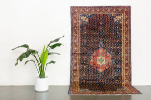 5x9.5 Persian Rug | HAVVA