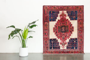 5x6.5 Persian Afshar Rug | BAIRAM