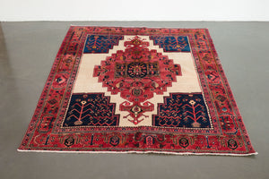5x6.5 Persian Afshar Rug | BAIRAM