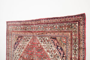 7x10 Persian Rug | NADIA