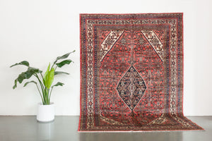 7x10 Persian Rug | SORAYA