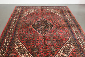 7x10 Persian Rug | SORAYA