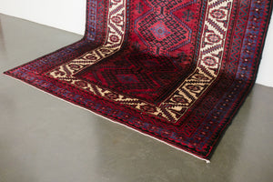6x10 Persian Roodbar Rug | DARIUS