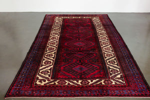6x10 Persian Roodbar Rug | DARIUS