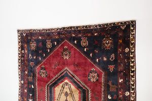 7x10 Persian Roodbar Rug | IZAD