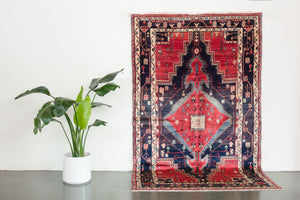 5.5x9 Persian Koliai Rug | ARMAN