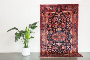 5x8.5 Persian Rug | SURI