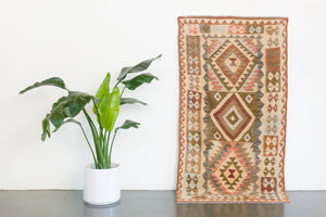 3.5x7 Turkish Kilim Rug | AYDIN