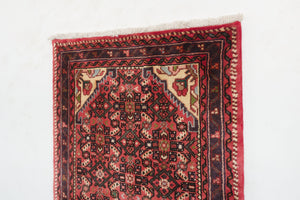 2x6.5 Persian Rug | YAZDANI