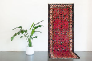 3.5x9.5 Persian Rug | KANNAN