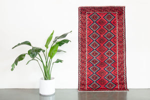 3.5x7 Persian Rug | MOSTAFA