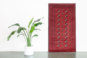 3.5x6 Afghan Rug | NOSHAFARIN