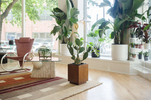 Wood Cube Planter