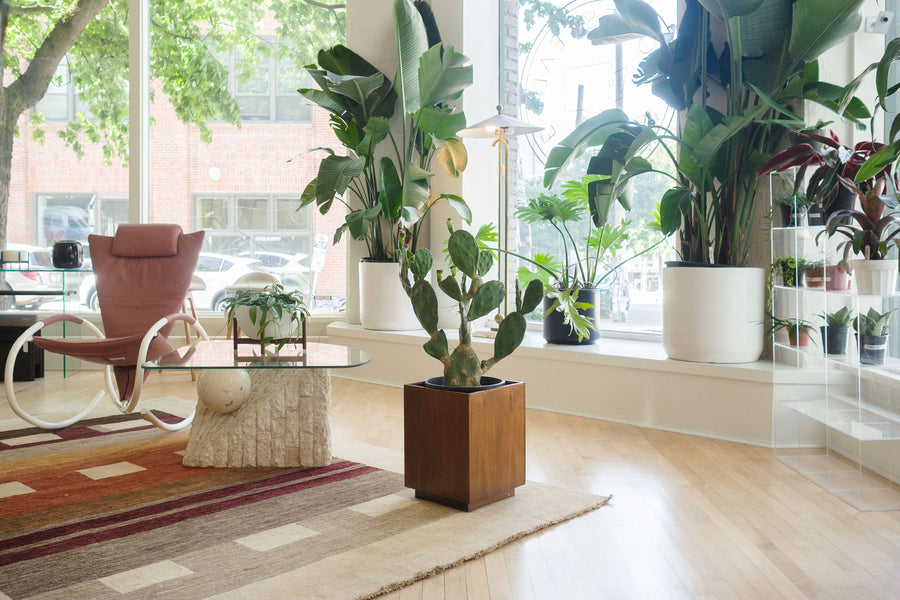 Wood Cube Planter