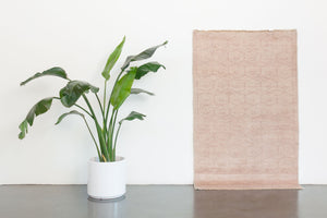 3x5 Peshawar Ziegler Rug | MILA