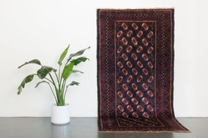 4.5x9.5 Persian Rug | NAGHI