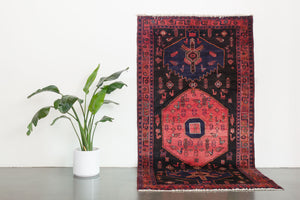 5x10 Persian Zanjan Rug | MEYSAM