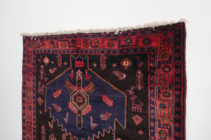 5x10 Persian Zanjan Rug | MEYSAM
