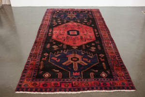 5x10 Persian Zanjan Rug | MEYSAM