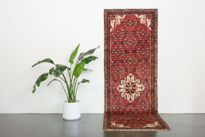 3x10 Persian Rug | BORZOU
