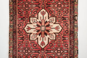 3x10 Persian Rug | BORZOU
