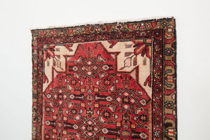 3x10 Persian Rug | BORZOU