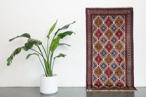 3x6 Persian Baluch Rug | SAYYAD