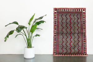 3x6 Persian Gabbeh Rug | NOUZAR