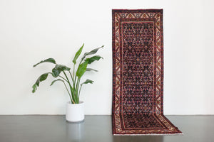 3x10 Persian Rug | ROSTAMI