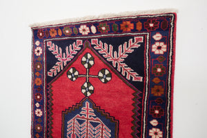 2.5x9 Persian Siva Rug | ARSALAN