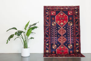5x8 Persian Koliai Rug | HAMIDEH