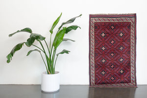 3x4.5 Afghan Baluch Rug | ABTEEN