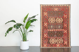 4x6 Turkish Sivas Rug | ODUL