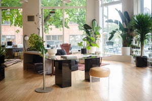 Mod Glass Dining Table