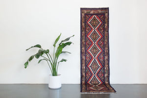 3x9 Persian Koliai Rug | TAGHI