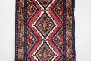 3x9 Persian Koliai Rug | TAGHI