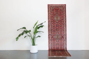 3x10 Persian Roodbar Rug | MAHDI