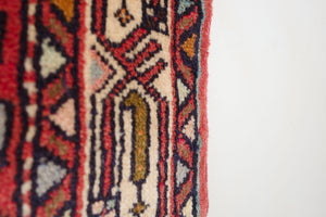 3x10 Persian Roodbar Rug | MAHDI