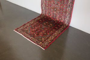 3x10 Persian Roodbar Rug | MAHDI