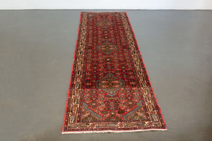 3x10 Persian Roodbar Rug | MAHDI