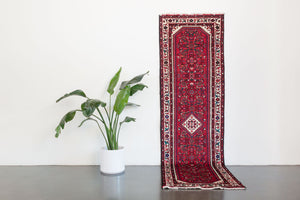 3x10 Persian Rug | AFSHIN