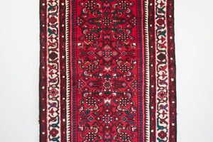 3x10 Persian Rug | AFSHIN