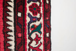 3x10 Persian Rug | AFSHIN