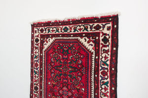 3x10 Persian Rug | AFSHIN