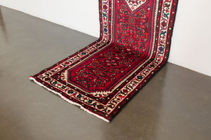 3x10 Persian Rug | AFSHIN