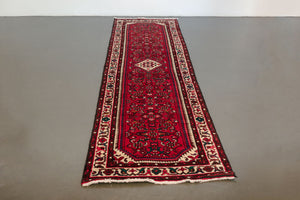 3x10 Persian Rug | AFSHIN