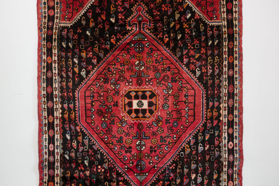 5x9 Persian Rug | HESAM