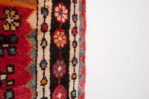 5x9 Persian Rug | HESAM
