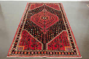 5x9 Persian Rug | HESAM