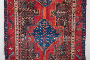 5x10 Persian Zanjan Rug | BAGHII